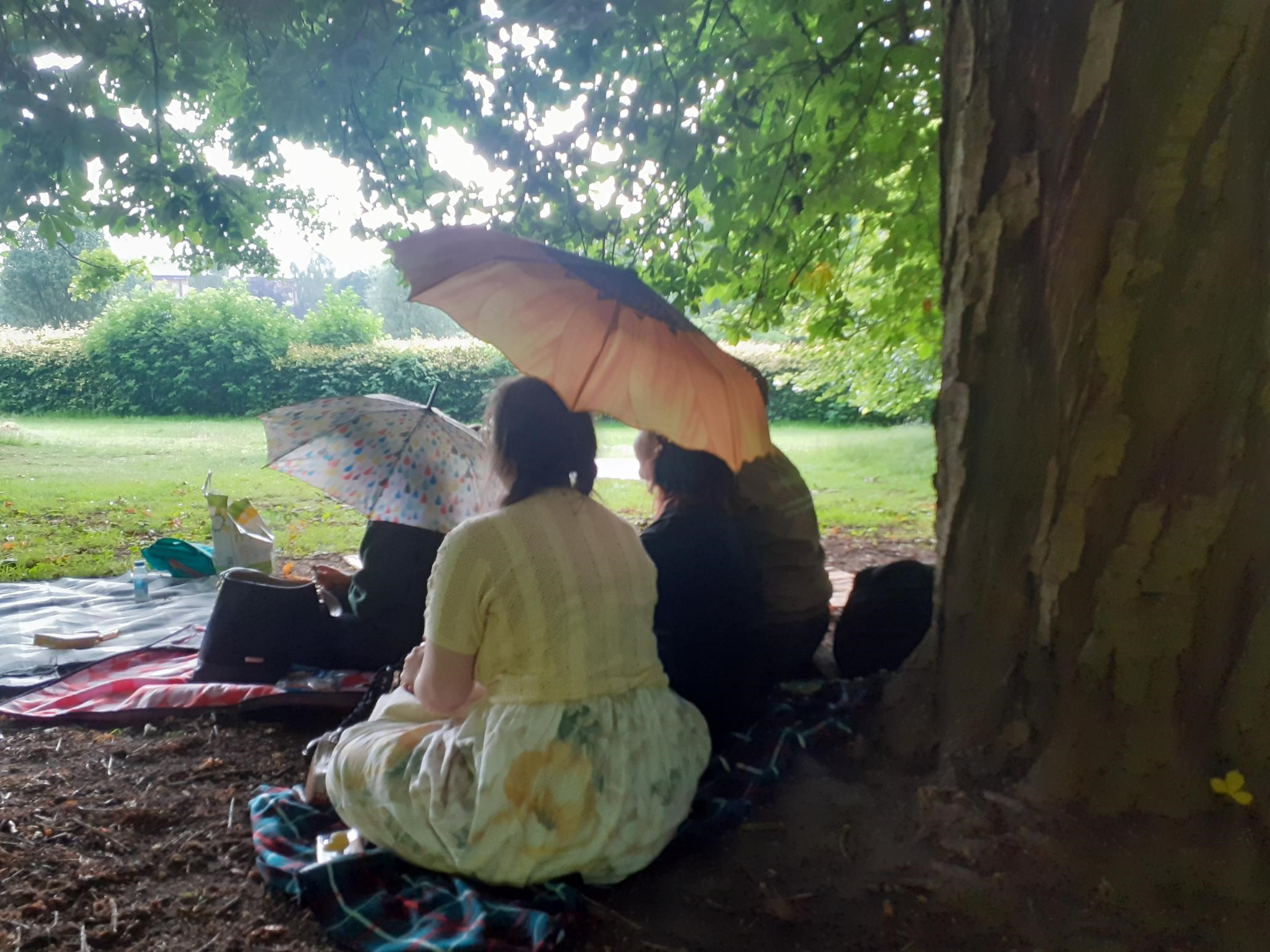 Picnic in the park 2