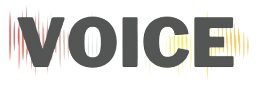 Voice-logo