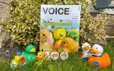 VOICE magazine – issue 2 published